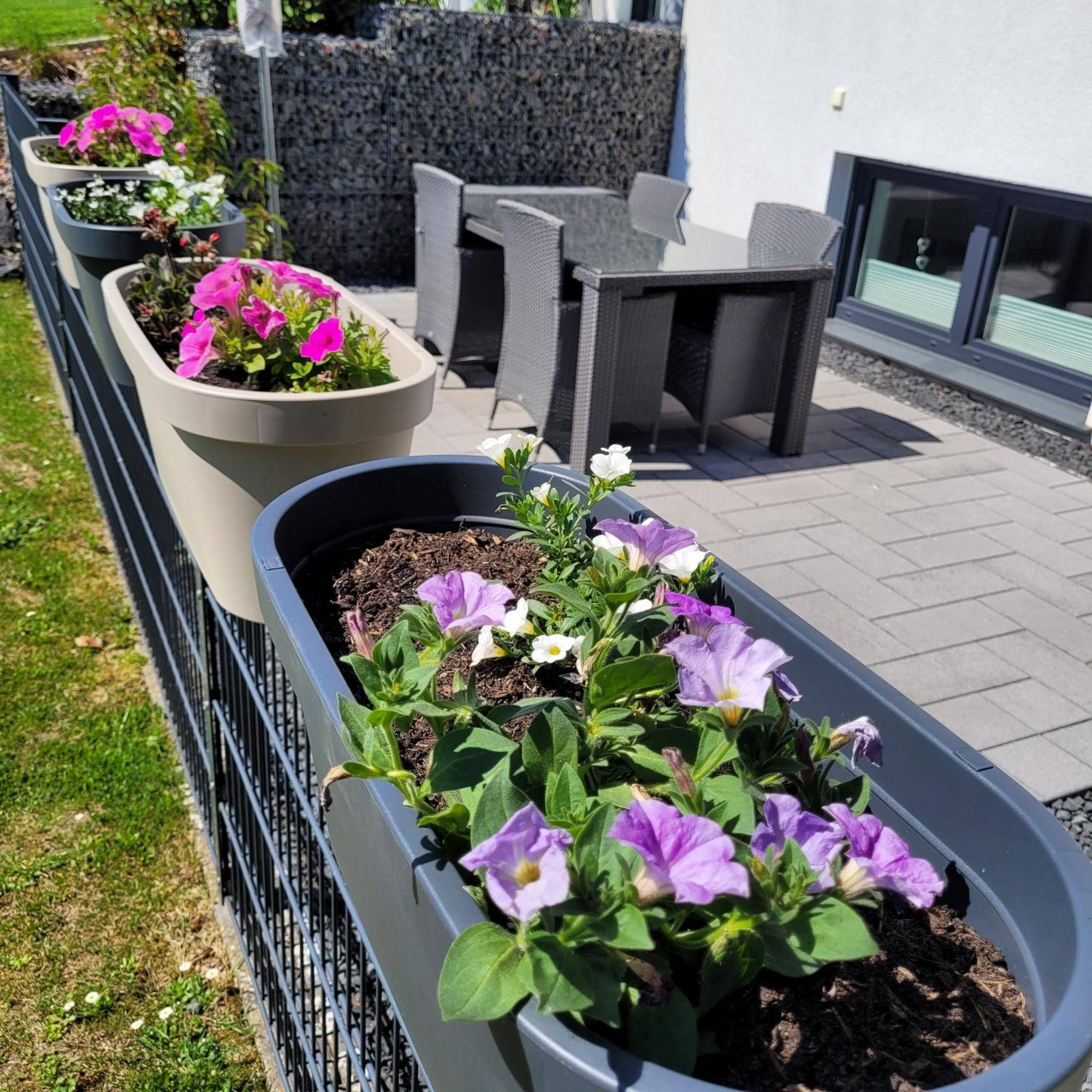Eifelherz Mit Sonnenterrasse Nideggen Exteriör bild